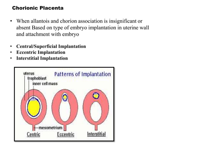 Chorial extra embryonic membranes : amnion chorion allantois and yolk sac ...