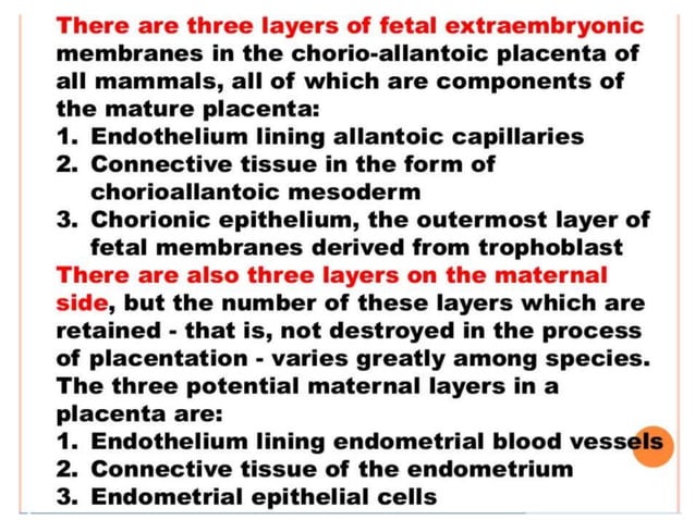 Chorial extra embryonic membranes : amnion chorion allantois and yolk sac ...