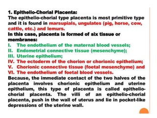 Chorial extra embryonic membranes : amnion chorion allantois and yolk sac ...