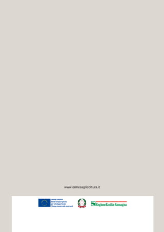 Direzione Generale Agricoltura FEASR
UNIONE EUROPEA
Fondo Europeo Agricolo
per lo Sviluppo Rurale:
l’Europa Investe nelle zone rurali
 
