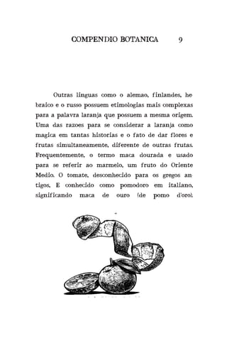 COMPENDIO BOTANICA 9
	 Outras linguas como o alemao, finlandes, he-
braico e o russo possuem etimologias mais complexas
para a palavra laranja que possuem a mesma origem.
Uma das razoes para se considerar a laranja como
magica em tantas historias e o fato de dar flores e
frutas simultaneamente, diferente de outras frutas.
Frequentemente, o termo maca dourada e usado
para se referir ao marmelo, um fruto do Oriente
Medio. O tomate, desconhecido para os gregos an-
tigos, E conhecido como pomodoro em italiano,
significando maca de ouro (de pomo d’oro).
“
 