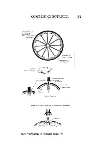 COMPENDIO BOTANICA 24
ILUSTRACOES DO GOOD DESIGN
 