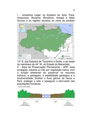 12

I - Amazônia Legal: os Estados do Acre, Pará,
Amazonas, Roraima, Rondônia, Amapá e Mato
Grosso e as regiões situadas ao norte do paralelo

13° S, dos Estados de Tocantins e Goiás, e ao oeste
do meridiano de 44° W, do Estado do Maranhão;
II - Área de Preservação Permanente - APP: área
protegida, coberta ou não por vegetação nativa, com
a função ambiental de preservar os recursos
hídricos, a paisagem, a estabilidade geológica e a
biodiversidade, facilitar o fluxo gênico de fauna e
flora, proteger o solo e assegurar o bem-estar das
populações humanas;

 