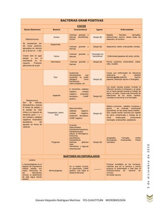 BACTERIAS GRAM POSITIVAS
                                                             COCOS
  Género Bacteriano               Bacteria             Características            Agares                       Enfermedades

                                                  Colonias grandes y                         Mastitis,      foliculitis,    dermatitis,
                                   Aureus         blancas amarillentas.       Sangre (β)     batriomicosis, escirro, afecta todas las
    Staphyloccocus                                inmóvil                                    especies y al humano.

Se caracterizan por
                               Epidermidis
ser cocos positivos,                              Colonias   grandes     y    Sangre (β)     Septicemia, cistitis, endocarditis, heridas.
agrupados en rácimos                              blancas.
de un Ø de 0.5 – 1.5M.
                                                  Colonias   grandes     y   Chocolate (no
Crecen bien en agar                Hyicus         blancas.                    hemolíticos)    Enfermedad gaseosa del cerdo, artritis.
sangre    y son        β
hemolíticas    en     su
                               Intermedius        Colonias    grandes    y    Sangre (β)     Perros: pioderma, endometritis, cistitis,
mayoría.     Producen                                                                        otitis, mastitis.
                                                  blancas.
afecciones de la piel.



                                                  Sustancias                                 Causa una enfermedad de relevancia
                                                  extracelulares       que                   veterinaria         en          caballos
                                   Equi           aumentan su poder                          llamada gurma (adenitis          equina,
                                                  patógeno          como      Sangre (β)     paperas, distemper equino o Strangles).
                                                  hemolisinas,
                                                  hialorunidasas, etc.
                                                                                             Los recién nacidos pueden contraer la
                                                  β -hemolítico, catalasa                    infección durante el embarazo o al pasar
                                                  negativo,       oxidasa                    por el tracto genital durante el trabajo de
                                                  negativo,    anaerobio                     parto y el parto. Causa más frecuente de
                                  Agalactie                                   Sangre (β)     infecciones de los recién nacidos,
                                                  facultativo,     CAMP
                                                                                             incluidas la neumonía y la meningitis.
                                                  positivo.
     Streptococcus
Son       de    colonias
blanquecinas y opacas
                                                                                             Afecta a porcinos, caballos, humanos y
El tilurito de potasio o
                                                  Beta-hemolítico,                           perros        en diversas condiciones
el acetato de Talio                                                                          supurativas, en las vacas causa mastitis
                                                  catalasa      negativo,
inhibe a la mayoría de      Dysgalactie, Uberis                                              Suis, puede causar zoonosis por ingesta
                                                  oxidasa       negativo,     Sangre (β)
bacterias gram + y –                Suis                                                     de carne contaminada o manejo de la
                                                  anaerobio facultativo,
son oxidasa y catalasa                                                                       canal       inadecuado,        produciendo
                                                  CAMP negativo.
negativos. Anaerobios                                                                        meningitis, endocarditis, septisemia.
facultativos.         Se
agrupan en forma de                               Enzimas:
cadenas.                                          Hialuronidasa,
                                                  Estreptodormasa(dna),
                                                  Estreptoquinasa,
                                                  (diluye al fibrinógeno),
                                                  Eritrozima
                                                  (escarlatina),                             Amigdalitis,       Faringitis,       Artritis
                                                  Estreptolisina,                            Reumatoide,       Endocarditis,      Fiebre
                                Pyogenes          destruye        glóbulos    Sangre (β)     reumática.
                                                  rojos.

                                                                                                                                             3 de diciembre de 2010
                                                  Hemolisina, y algunas
                                                  enterotoxinas.



                                               BASTONES NO ESPORULADOS
        Lysteria

L.monocytogenes es la                                                                        Produce encefalitis en los humanos,
especie de importancia                            Es un bastón inmóvil,                      mientras que en lo bovinos y ovinos
médica aislada con                                no esporulado, CAMP          _______       produce la enfermedad o más bien el
mayor frecuencia en          Monocytogenes        positivo, que migra al                     síndrome-manía     de  “caminar  en
los          laboratorios                         Sistema Nervioso.                          círculos”.
clínicos, el aislamiento                                                                     No existe vacuna.
de esta sigue siendo
dudosa.




                   Giovani Alejandro Rodríguez Martínez FES-CUAUTITLÁN MICROBIOLOGÍA
 