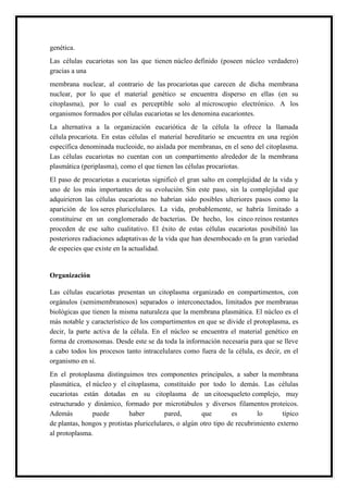 genética.
Las células eucariotas son las que tienen núcleo definido (poseen núcleo verdadero)
gracias a una
membrana nuclear, al contrario de las procariotas que carecen de dicha membrana
nuclear, por lo que el material genético se encuentra disperso en ellas (en su
citoplasma), por lo cual es perceptible solo al microscopio electrónico. A los
organismos formados por células eucariotas se les denomina eucariontes.
La alternativa a la organización eucariótica de la célula la ofrece la llamada
célula procariota. En estas células el material hereditario se encuentra en una región
específica denominada nucleoide, no aislada por membranas, en el seno del citoplasma.
Las células eucariotas no cuentan con un compartimento alrededor de la membrana
plasmática (periplasma), como el que tienen las células procariotas.
El paso de procariotas a eucariotas significó el gran salto en complejidad de la vida y
uno de los más importantes de su evolución. Sin este paso, sin la complejidad que
adquirieron las células eucariotas no habrían sido posibles ulteriores pasos como la
aparición de los seres pluricelulares. La vida, probablemente, se habría limitado a
constituirse en un conglomerado de bacterias. De hecho, los cinco reinos restantes
proceden de ese salto cualitativo. El éxito de estas células eucariotas posibilitó las
posteriores radiaciones adaptativas de la vida que han desembocado en la gran variedad
de especies que existe en la actualidad.
Organización
Las células eucariotas presentan un citoplasma organizado en compartimentos, con
orgánulos (semimembranosos) separados o interconectados, limitados por membranas
biológicas que tienen la misma naturaleza que la membrana plasmática. El núcleo es el
más notable y característico de los compartimentos en que se divide el protoplasma, es
decir, la parte activa de la célula. En el núcleo se encuentra el material genético en
forma de cromosomas. Desde este se da toda la información necesaria para que se lleve
a cabo todos los procesos tanto intracelulares como fuera de la célula, es decir, en el
organismo en sí.
En el protoplasma distinguimos tres componentes principales, a saber la membrana
plasmática, el núcleo y el citoplasma, constituido por todo lo demás. Las células
eucariotas están dotadas en su citoplasma de un citoesqueleto complejo, muy
estructurado y dinámico, formado por microtúbulos y diversos filamentos proteicos.
Además puede haber pared, que es lo típico
de plantas, hongos y protistas pluricelulares, o algún otro tipo de recubrimiento externo
al protoplasma.
 