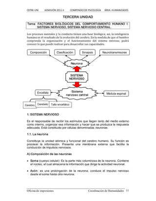 CEPRE‐UNI          ADMISIÓN 2011‐II          COMPENDIO DE PSICOLOGÍA      ÁREA: HUMANIDADES 
Oficina de impresiones  Coordinación de Humanidades  11 
TERCERA UNIDAD 
Tema:  FACTORES  BIOLÓGICOS  DEL  COMPORTAMIENTO  HUMANO  I: 
SISTEMA NERVIOSO, SISTEMA NERVIOSO CENTRAL. 
Los procesos mentales y la conducta tienen una base biológica; así, la inteligencia 
humana es el resultado de la evolución del cerebro. En la medida de que el hombre 
comprenda  la  organización  y  el  funcionamiento  del  sistema  nervioso,  podrá 
conocer lo que puede realizar para desarrollar sus capacidades. 
1. SISTEMA NERVIOSO 
Es el responsable de recibir los estímulos que llegan tanto del medio externo 
como interno, organizar esa información y hacer que se produzca la respuesta 
adecuada. Está constituido por células denominadas neuronas. 
1.1. La neurona 
Constituye  la  unidad atómica  y  funcional del  cerebro  humano.  Su  función es 
procesar  la  información.  Presenta  una  membrana  externa  que  facilita  la 
conducción de impulsos nerviosos. 
A) Composición de las neuronas
· Soma (cuerpo celular): Es la parte más voluminosa de la neurona. Contiene 
el núcleo, el cual almacena la información que dirige la actividad neuronal.
· Axón:  es  una  prolongación  de  la  neurona,  conduce  el  impulso  nervioso 
desde el soma hasta otra neurona. 
Composición  Clasificación  Sinapsis  Neurotransmisores 
Encéfalo  Médula espinal 
Neurona 
SISTEMA 
NERVIOSO 
Sistema 
nervioso central 
Cerebro  Cerebelo  Tallo encefálico
 