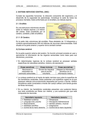 CEPRE‐UNI          ADMISIÓN 2011‐II          COMPENDIO DE PSICOLOGÍA      ÁREA: HUMANIDADES 
Oficina de impresiones  Coordinación de Humanidades  13 
2. SISTEMA NERVIOSO CENTRAL (SNC) 
Cumple  las  siguientes  funciones:  la  dirección  consciente  del  organismo  y  el 
desarrollo  de  la  capacidad  de  aprendizaje.  Constituye  la  sede  de  todos  los 
procesos mentales. Está conformado por el encéfalo y la médula espinal. 
2.1. Encéfalo 
Es una estructura voluminosa situada 
sobre  la médula  espinal y al  interior 
del  cráneo.  Está  constituido  por  el 
cerebro, cerebelo y tallo encefálico. 
2.1.1. El Cerebro 
Es la parte más voluminosa del encéfalo. Pesa alrededor de 1.5 kilogramos y 
contiene aproximadamente 200 mil millones de neuronas interconectadas. Está 
situado en la parte anterior y superior de la cavidad craneal 
A) Corteza cerebral 
Es la parte superior externa del cerebro. Su función principal consiste en usar y 
aprovechar  la  información  de  los  órganos  sensoriales  como  base  para  sus 
decisiones y acciones. 
ü En  determinadas  regiones  de  la  corteza  cerebral  se  procesan  señales 
específicas de naturaleza sensitiva, motora y de asociación. 
Áreas sensitivas  Áreas motoras  Áreas asociativas 
Reconocen e 
interpretan los 
estímulos sensoriales. 
Envían los impulsos 
para la acción 
voluntaria. 
Integran la información 
sensitiva con la 
información motora. 
ü La corteza cerebral es el manto de tejido nervioso que cubre la superficie de 
los hemisferios cerebrales. Estos presentan una superficie rugosa en la que 
aparecen relieves (circunvoluciones) separados por surcos o cisuras. Ambos 
hemisferios están conectados a través del cuerpo calloso (una banda gruesa 
de fibras nerviosas). 
ü En  su  interior,  los  hemisferios  cerebrales  presentan  una  sustancia  blanca 
que  está  constituida por  fibras  con  mielina,  y una  sustancia  gris  que  está 
compuesta de neuronas. 
Hemisferio izquierdo  Hemisferio derecho 
Ø Habilidad numérica 
Ø Lenguaje oral y escrito 
Ø Razonamiento 
Ø Habilidad científica 
Ø Control de la mano derecha 
Ø Perspicacia 
Ø Percepción tridimensional 
Ø Sentido artístico, musical 
Ø Imaginación 
Ø Control de la mano izquierda
 