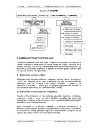 CEPRE‐UNI          ADMISIÓN 2011‐II          COMPENDIO DE PSICOLOGÍA      ÁREA: HUMANIDADES 
Oficina de impresiones                                                Coordinación de Humanidades  17 
CUARTA UNIDAD 
Tema: FACTORES BIOLÓGICOS DEL COMPORTAMIENTO HUMANO II. 
3. SISTEMA NERVIOSO PERIFÉRICO (SNP) 
Constituye la extensión del SNC, pues comprende los nervios que conectan el 
cerebro y la médula espinal con las demás partes del cuerpo. Se divide en el 
sistema somático, que lleva y trae mensajes de los receptores sensoriales, los 
músculos y la superficie corporal, y el sistema autónomo, que se comunica con 
los órganos internos y las glándulas. 
3.1 El sistema nervioso somático 
Reacciona  ante  estímulos  externos:  imágenes,  sonidos,  olores,  temperatura, 
presión,  etc.  Controla  las  acciones  voluntarias,  por  ello,  es  responsable  del 
movimiento  corporal.  Contiene  a  los  nervios  craneales  (12  pares),  a  los 
raquídeos  o  espirales  (31  pares)  y  a  los  ganglios  (agrupaciones  de cuerpos 
neuronales ubicados fuera del sistema nervioso central). 
3.2 El sistema nervioso autónomo o vegetativo 
Regula  el  funcionamiento  de  los  sistemas  glandular,  digestivo,  circulatorio, 
respiratorio,  renal  y  otros;  así  como  también  normaliza  las  reacciones 
fisiológicas vinculadas a las emociones, como cuando los latidos del corazón 
se aceleran ante una alegría intensa. 
Está  compuesto  por  el  sistema  simpático  y  el  sistema  parasimpático.  A 
menudo, ambos trabajan de manera antagónica (uno contra otro); no obstante, 
el  equilibrio  de  ambos  sistemas  regula  el  funcionamiento  fisiológico  de  los 
órganos del cuerpo humano en condiciones normales. 
SISTEMA NERVIOSO 
PERIFÉRICO 
SISTEMA 
ENDOCRINO 
Sistema 
somático 
Sistema 
autónomo 
Sistema 
simpático 
Sistema 
parasimpático 
Glándula pituitaria 
Glándula pineal 
Glándula tiroides 
Glándulas paratiroides 
Páncreas 
Glándulas adrenales 
Gónadas
 