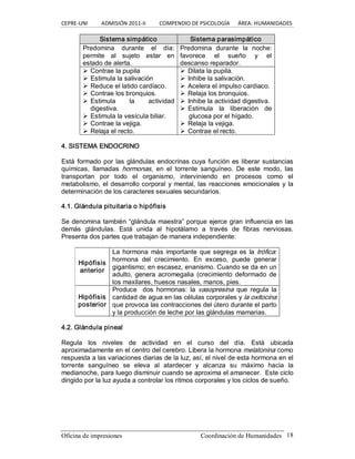 CEPRE‐UNI          ADMISIÓN 2011‐II          COMPENDIO DE PSICOLOGÍA      ÁREA: HUMANIDADES 
Oficina de impresiones                                                Coordinación de Humanidades  18 
Sistema simpático  Sistema parasimpático 
Predomina  durante  el  día: 
permite  al  sujeto  estar  en 
estado de alerta. 
Predomina  durante  la  noche: 
favorece  el  sueño  y  el 
descanso reparador. 
Ø Contrae la pupila 
Ø Estimula la salivación 
Ø Reduce el latido cardíaco. 
Ø Contrae los bronquios. 
Ø Estimula  la  actividad 
digestiva. 
Ø Estimula la vesícula biliar. 
Ø Contrae la vejiga. 
Ø Relaja el recto. 
Ø Dilata la pupila. 
Ø Inhibe la salivación. 
Ø Acelera el impulso cardiaco. 
Ø Relaja los bronquios. 
Ø Inhibe la actividad digestiva. 
Ø Estimula  la  liberación  de 
glucosa por el hígado. 
Ø Relaja la vejiga. 
Ø Contrae el recto. 
4. SISTEMA ENDOCRINO 
Está formado por las glándulas endocrinas cuya función es liberar sustancias 
químicas,  llamadas  hormonas,  en  el  torrente  sanguíneo.  De  este  modo,  las 
transportan  por  todo  el  organismo,  interviniendo  en  procesos  como  el 
metabolismo, el desarrollo corporal y mental, las reacciones emocionales y la 
determinación de los caracteres sexuales secundarios. 
4.1. Glándula pituitaria o hipófisis 
Se denomina también “glándula maestra” porque ejerce gran influencia en las 
demás  glándulas.  Está  unida  al  hipotálamo  a  través  de  fibras  nerviosas. 
Presenta dos partes que trabajan de manera independiente: 
Hipófisis 
anterior 
La hormona  más importante que segrega es la trófica: 
hormona  del  crecimiento.  En  exceso,  puede  generar 
gigantismo; en escasez, enanismo. Cuando se da en un 
adulto,  genera acromegalia  (crecimiento  deformado  de 
los maxilares, huesos nasales, manos, pies. 
Hipófisis 
posterior 
Produce   dos  hormonas:  la vasopresina  que  regula  la 
cantidad de agua en las células corporales y la oxitocina 
que provoca las contracciones del útero durante el parto 
y la producción de leche por las glándulas mamarias. 
4.2. Glándula pineal 
Regula  los  niveles  de  actividad  en  el  curso  del  día.  Está  ubicada 
aproximadamente en el centro del cerebro. Libera la hormona melatonina como 
respuesta a las variaciones diarias de la luz; así, el nivel de esta hormona en el 
torrente  sanguíneo  se  eleva  al  atardecer  y  alcanza  su  máximo  hacia  la 
medianoche, para luego disminuir cuando se aproxima el amanecer.  Este ciclo 
dirigido por la luz ayuda a controlar los ritmos corporales y los ciclos de sueño.
 