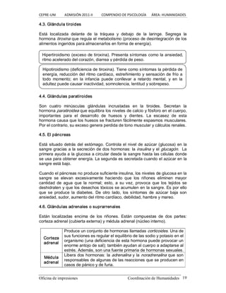 CEPRE‐UNI          ADMISIÓN 2011‐II          COMPENDIO DE PSICOLOGÍA      ÁREA: HUMANIDADES 
Oficina de impresiones                                                Coordinación de Humanidades  19 
4.3. Glándula tiroides 
Está  localizada  delante  de  la  tráquea  y  debajo  de  la  laringe.  Segrega  la 
hormona tiroxina que regula el metabolismo (proceso de desintegración de los 
alimentos ingeridos para almacenarlos en forma de energía). 
4.4. Glándulas paratiroides 
Son  cuatro  minúsculas  glándulas  incrustadas  en  la  tiroides.  Secretan  la 
hormona paratiroidea que equilibra los niveles de calcio y fósforo en el cuerpo, 
importantes  para  el  desarrollo  de  huesos  y  dientes.  La  escasez  de  esta 
hormona causa que los huesos se fracturen fácilmente espasmos musculares. 
Por el contrario, su exceso genera perdida de tono muscular y cálculos renales. 
4.5. El páncreas 
Está situado detrás del estómago. Controla el nivel de azúcar (glucosa) en la 
sangre gracias a la secreción de dos hormonas: la insulina y el glucagón.  La 
primera ayuda a la glucosa a circular desde la sangre hasta las células donde 
se usa para obtener energía. La segunda es secretada cuando el azúcar en la 
sangre está bajo. 
Cuando el páncreas no produce suficiente insulina, los niveles de glucosa en la 
sangre  se  elevan  excesivamente  haciendo  que  los  riñones  eliminen  mayor 
cantidad  de  agua  que  la  normal;  esto,  a  su vez,  provoca  que  los  tejidos  se 
deshidraten y que los desechos tóxicos se acumulen en la sangre. Es por ello 
que  se  produce  la  diabetes.  De  otro  lado,  los  síntomas  de  azúcar  baja  son 
ansiedad, sudor, aumento del ritmo cardíaco, debilidad, hambre y mareo. 
4.6. Glándulas adrenales o suprarrenales 
Están  localizadas  encima  de  los  riñones.  Están  compuestas  de  dos  partes: 
corteza adrenal (cubierta externa) y médula adrenal (núcleo interno). 
Corteza 
adrenal 
Produce un conjunto de hormonas llamadas corticoides. Una de 
sus funciones es regular el equilibrio de las sodio y potasio en el 
organismo (una deficiencia de esta hormona puede provocar un 
enorme antojo de sal); también ayudan al cuerpo a adaptarse al 
estrés. Además, son una fuente primaria de hormonas sexuales. 
Médula 
adrenal 
Libera dos hormonas: la adrenalina y la noradrenalina que son 
responsables de algunas de las reacciones que se producen en 
casos de pánico y de furia. 
Hipertiroidismo (exceso de tiroxina). Presenta síntomas como la ansiedad, 
ritmo acelerado del corazón, diarrea y pérdida de peso. 
Hipotiroidismo (deficiencia de tiroxina). Tiene como síntomas la pérdida de 
energía, reducción del ritmo cardíaco, estreñimiento y sensación de frío a 
todo  momento;  en  la  infancia  puede  conllevar  a  retardo  mental,  y  en  la 
adultez puede causar inactividad, somnolencia, lentitud y sobrepeso.
 