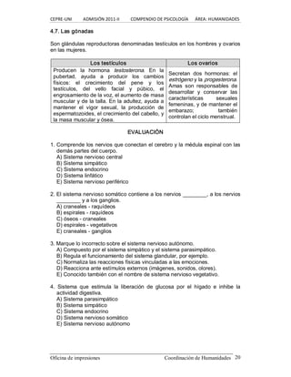 CEPRE‐UNI          ADMISIÓN 2011‐II          COMPENDIO DE PSICOLOGÍA      ÁREA: HUMANIDADES 
Oficina de impresiones                                                Coordinación de Humanidades  20 
4.7. Las gónadas 
Son glándulas reproductoras denominadas testículos en los hombres y ovarios 
en las mujeres. 
Los testículos  Los ovarios 
Producen  la  hormona  testosterona.  En  la 
pubertad,  ayuda  a  producir  los  cambios 
físicos:  el  crecimiento  del  pene  y  los 
testículos,  del  vello  facial  y  púbico,  el 
engrosamiento de la voz, el aumento de masa 
muscular y de la talla. En la adultez, ayuda a 
mantener  el  vigor  sexual,  la  producción  de 
espermatozoides, el crecimiento del cabello, y 
la masa muscular y ósea. 
Secretan  dos  hormonas:  el 
estrógeno y la progesterona. 
Amas  son  responsables  de 
desarrollar  y  conservar  las 
características  sexuales 
femeninas, y de mantener el 
embarazo;  también 
controlan el ciclo menstrual. 
EVALUACIÓN 
1. Comprende los nervios que conectan el cerebro y la médula espinal con las 
demás partes del cuerpo. 
A) Sistema nervioso central 
B) Sistema simpático 
C) Sistema endocrino 
D) Sistema linfático 
E) Sistema nervioso periférico 
2. El sistema nervioso somático contiene a los nervios ________, a los nervios 
________ y a los ganglios. 
A) craneales ­ raquídeos 
B) espirales ­ raquídeos 
C) óseos ­ craneales 
D) espirales ­ vegetativos 
E) craneales ­ ganglios 
3. Marque lo incorrecto sobre el sistema nervioso autónomo. 
A) Compuesto por el sistema simpático y el sistema parasimpático. 
B) Regula el funcionamiento del sistema glandular, por ejemplo. 
C) Normaliza las reacciones físicas vinculadas a las emociones. 
D) Reacciona ante estímulos externos (imágenes, sonidos, olores). 
E) Conocido también con el nombre de sistema nervioso vegetativo. 
4.  Sistema  que  estimula  la  liberación  de  glucosa  por  el  hígado  e  inhibe  la 
actividad digestiva. 
A) Sistema parasimpático 
B) Sistema simpático 
C) Sistema endocrino 
D) Sistema nervioso somático 
E) Sistema nervioso autónomo
 