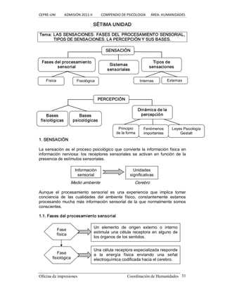 CEPRE‐UNI          ADMISIÓN 2011‐II          COMPENDIO DE PSICOLOGÍA      ÁREA: HUMANIDADES 
Oficina de impresiones                                                Coordinación de Humanidades  31 
SÉTIMA UNIDAD 
Tema: LAS SENSACIONES: FASES DEL PROCESAMIENTO SENSORIAL, 
TIPOS DE SENSACIONES. LA PERCEPCIÓN Y SUS BASES. 
1. SENSACIÓN 
La sensación es el proceso psicológico que convierte la información física en 
información  nerviosa:  los  receptores sensoriales  se  activan  en  función  de  la 
presencia de estímulos sensoriales. 
Medio ambiente  Cerebro 
Aunque  el  procesamiento  sensorial  es  una  experiencia  que  implica  tomar 
conciencia  de  las  cualidades  del  ambiente  físico,  constantemente  estamos 
procesando mucha más información sensorial de la que normalmente somos 
conscientes. 
1.1. Fases del procesamiento sensorial 
Información 
sensorial 
Unidades 
significativas 
Un  elemento  de  origen  externo  o  interno 
estimula  una célula  receptora  en  alguno  de 
los órganos de los sentidos. 
Fase 
fisiológica 
Fase 
física 
Una célula receptora especializada responde 
a  la  energía  física  enviando  una  señal 
electroquímica codificada hacia el cerebro. 
Física  Fisiológica 
Fases del procesamiento 
sensorial 
Sistemas 
sensoriales 
Tipos de 
sensaciones 
Internas  Externas 
SENSACIÓN 
Bases 
fisiológicas 
Dinámica de la 
percepción 
Principio 
de la forma 
PERCEPCIÓN 
Bases 
psicológicas 
Fenómenos 
importantes 
Leyes Psicología 
Gestalt
 
