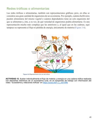 49
ACTIVIDAD 12. Ilustrar individualmente el flujo de materia y energía en una cadena trófica realizada
con elementos distintivos de un ecosistema rural, en el compendio de trabajo con información del
video: “Ecosistema y relaciones tróficas” en https://youtu.be/T_L_xch194k
 