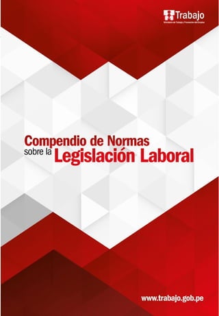 COMPENDIO DE NORMAS SOBRE LA LEGISLACIÓN LABORAL DEL RÉGIMEN PRIVADO
1
 