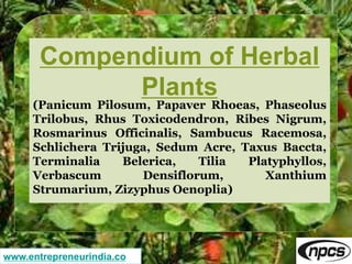 www.entrepreneurindia.co
Compendium of Herbal
Plants
(Panicum Pilosum, Papaver Rhoeas, Phaseolus
Trilobus, Rhus Toxicodend...