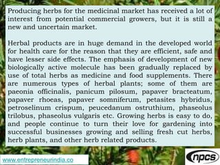 www.entrepreneurindia.co
Producing herbs for the medicinal market has received a lot of
interest from potential commercial...
