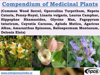 Compendium of Medicinal Plants
(Common Wood Sorrel, Operculina Turpethum, Nepeta
Cataria, Penny-Royal, Linaria vulgaris, L...