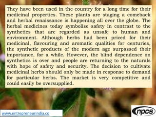 www.entrepreneurindia.co
They have been used in the country for a long time for their
medicinal properties. These plants a...