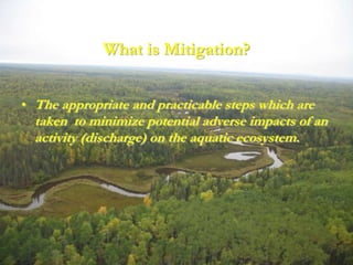 What is Mitigation?


• The appropriate and practicable steps which are
  taken to minimize potential adverse impacts of a...