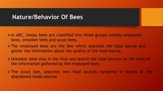Nature/Behavior Of Bees
In ABC, honey bees are classified into three groups namely employed
bees, onlooker bees and scout bees.
The employed bees are the bee which searches the food source and
gather the information about the quality of the food source.
Onlooker bees stay in the hive and search the food sources on the basis of
the information gathered by the employed bees.
The scout bee, searches new food sources randomly in places of the
abandoned foods sources
 