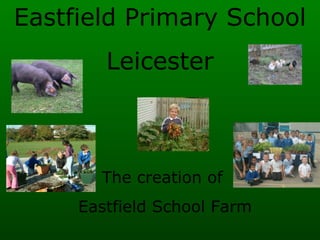Eastfield Primary School Leicester The creation of  Eastfield School Farm 