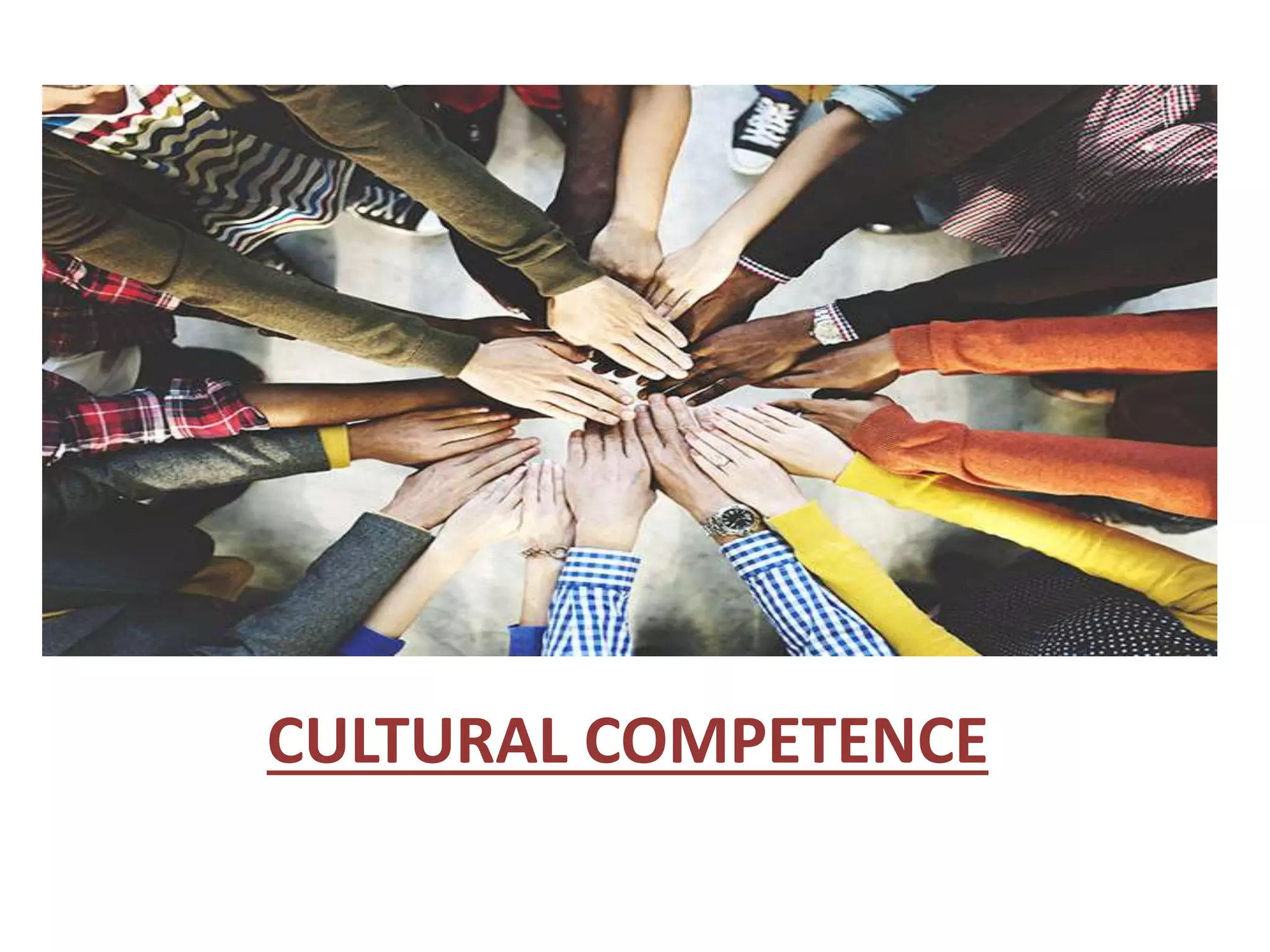 Disability and Cultural competence.pptx