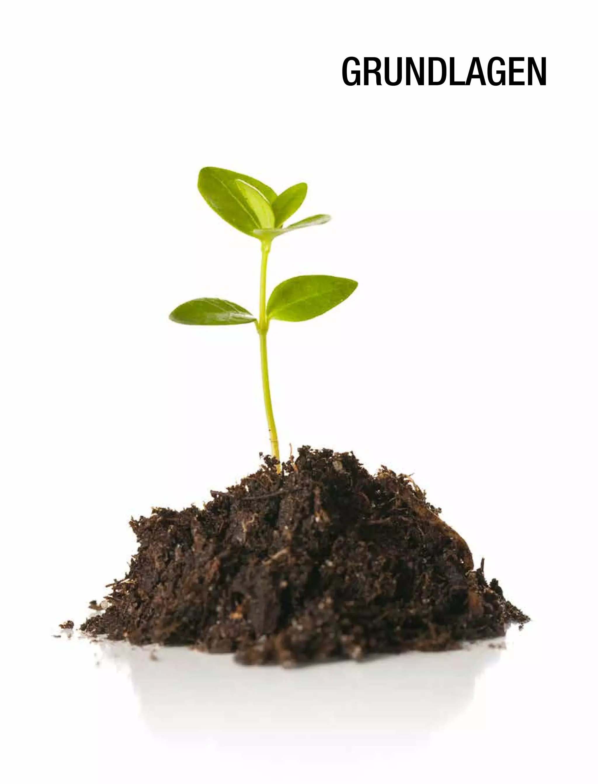 GRUNDLAGEN
 