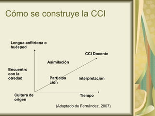 Cómo se construye la CCI Lengua anfitriona o huésped CCI Docente Encuentro con la otredad Cultura de origen Tiempo Asimilación Participación Interpretación (Adaptado de Fernández, 2007) 