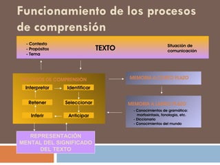 Competencia Linguistica CóRdoba