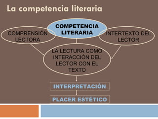 Competencia Linguistica CóRdoba