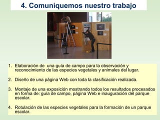 1. Elaboración de una guía de campo para la observación y
reconocimiento de las especies vegetales y animales del lugar.
2. Diseño de una página Web con toda la clasificación realizada.
3. Montaje de una exposición mostrando todos los resultados procesados
en forma de: guía de campo, página Web e inauguración del parque
escolar.
4. Rotulación de las especies vegetales para la formación de un parque
escolar.
4. Comuniquemos nuestro trabajo
 