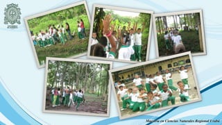 Maestría en Ciencias Naturales Regional Urabá
 