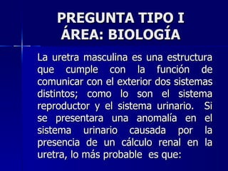 PREGUNTA TIPO I ÁREA: BIOLOGÍA La uretra masculina es una estructura que cumple con la función de comunicar con el exterior dos sistemas distintos; como lo son el sistema reproductor y el sistema urinario.  Si se presentara una anomalía en el sistema urinario causada por la presencia de un cálculo renal en la uretra, lo más probable  es que:  