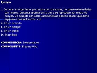 Ejemplo   1 . Se tiene un organismo que respira por branquias, no posee extremidades con huesos, presenta escama en su piel y se reproduce por medio de huevos. De acuerdo con estas características podrías pensar que dicho organismo probablemente vive A. En un desierto B. En un bosque C. En un jardín D. En un lago   COMPETENCIA : Interpretativa COMPONENTE : Entorno Vivo 