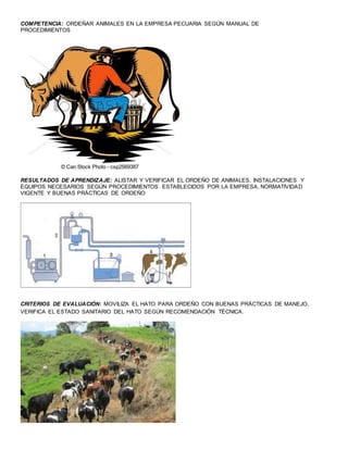 COMPETENCIA: ORDEÑAR ANIMALES EN LA EMPRESA PECUARIA SEGÚN MANUAL DE
PROCEDIMIENTOS
RESULTADOS DE APRENDIZAJE: ALISTAR Y VERIFICAR EL ORDEÑO DE ANIMALES, INSTALACIONES Y
EQUIPOS NECESARIOS SEGÚN PROCEDIMIENTOS ESTABLECIDOS POR LA EMPRESA, NORMATIVIDAD
VIGENTE Y BUENAS PRÁCTICAS DE ORDEÑO
CRITERIOS DE EVALUACIÓN: MOVILIZA EL HATO PARA ORDEÑO CON BUENAS PRÁCTICAS DE MANEJO.
VERIFICA EL ESTADO SANITARIO DEL HATO SEGÚN RECOMENDACIÓN TÉCNICA.
 