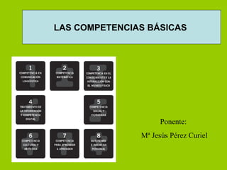 Ponente:  Mª Jesús Pérez Curiel LAS COMPETENCIAS BÁSICAS  