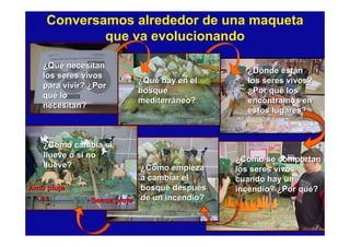 Cómo enseñar competencias