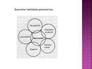 Desarrollar habilidades psicomotrices
 