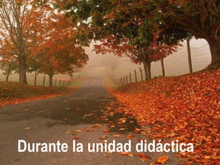 Durante la unidad didáctica
 