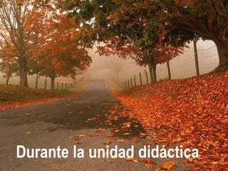 Durante la unidad didáctica
 