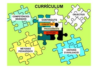CURRÍCULUM
COMPETÈNCIES
BÀSIQUES
OBJECTIUS
CONTINGUTS
MÈTODES
PEDAGÒGICS
CRITERIS
D’AVALUACIÓ
CONCEPTES
PROCEDIMENTS
ACTITUDS
 