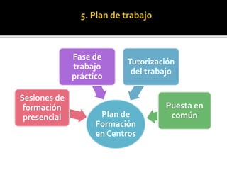 Plan de
Formación
en Centros
Sesiones de
formación
presencial
Fase de
trabajo
práctico
Tutorización
del trabajo
Puesta en
común
 