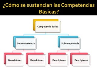 Competencia Básica
Subcompetencia
Descriptores Descriptores
Subcompetencia
Descriptores Descriptores
 