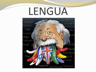 LENGUA 
 