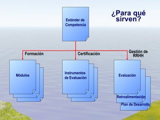 ¿Para qué sirven? Estándar de  Competencia Módulos Formación Instrumentos  de Evaluación Certificación Plan de Desarrollo Retroalimentación Gestión de RRHH Evaluación 