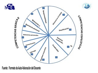 Competencias del docente 2