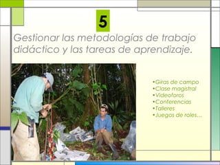 5
Gestionar las metodologías de trabajo
didáctico y las tareas de aprendizaje.
•Giras de campo
•Clase magistral
•Videoforos
•Conferencias
•Talleres
•Juegos de roles…

 