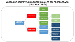 MODELO DE COMPETENCIAS PROFESIONALES DEL PROFESORADO
(CASTILLA Y LEÓN)
 