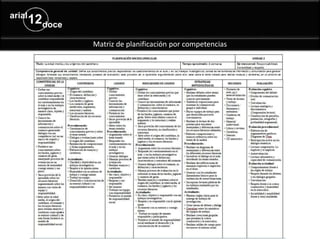 Matriz de planificación por competencias
 