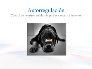 Autorregulación
Control de nuestros estados, impulsos y recursos internos
 